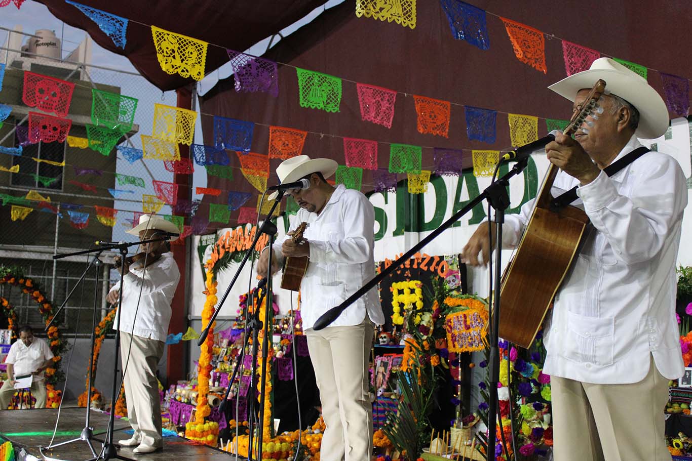 auditorio